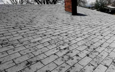 How to Spot Hail Damage on Roof?