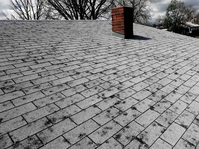 Spotting Hail Damage on Roof