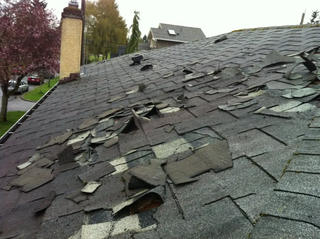 Roofing Damage Repair Services